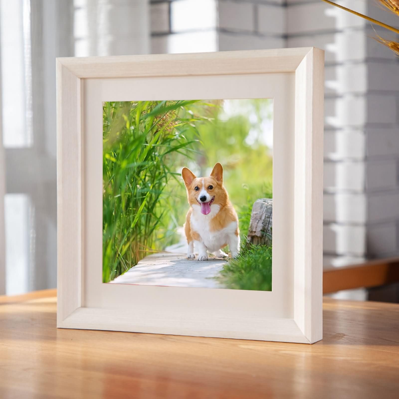 Amazon.com - Homxi 13x13 Wood Display Picture Frame Vertical,Wall